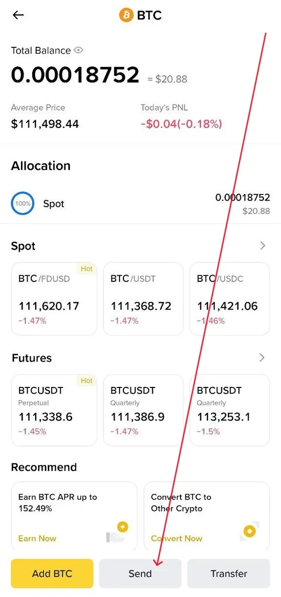 Binance: the coin screen with the Send button